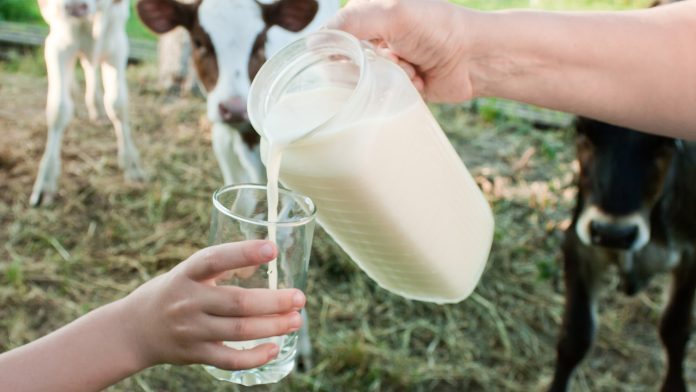 The Safety of Raw Milk: Science's Clear Answer