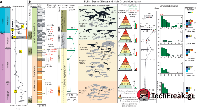 Dinosaur Dominance: Digestive Contents and Food Webs