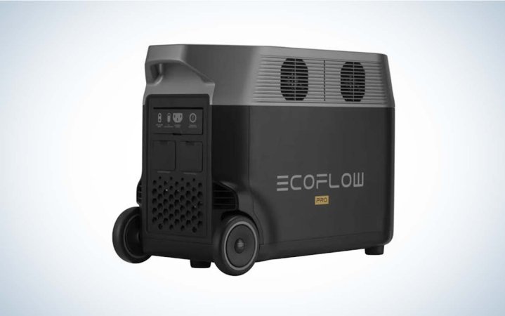  EcoFlow Delta Pro generator