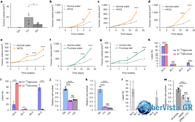 Dietary fructose enhances tumour growth indirectly via interorgan lipid transfer