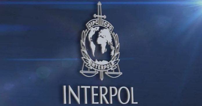 Η Interpol συνέλαβε 5500+ άτομα σε όλο τον κόσμο και γλίτωσε $400 εκατ. από απάτες